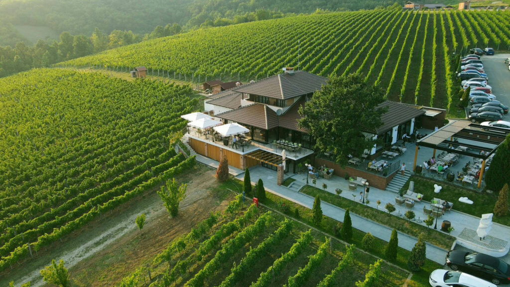 Dionysus, the god of wine, will manifest for the second time in Serbia. He will reveal the divine tastes of the TARPOŠ winery 2 Pogled na Restoran Tarpos 1 e1660230404365